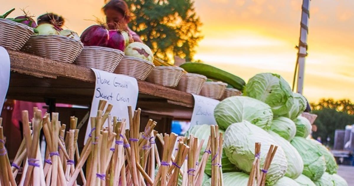 Explore the vibrant world of Rochester Farmers Market with our detailed guide.