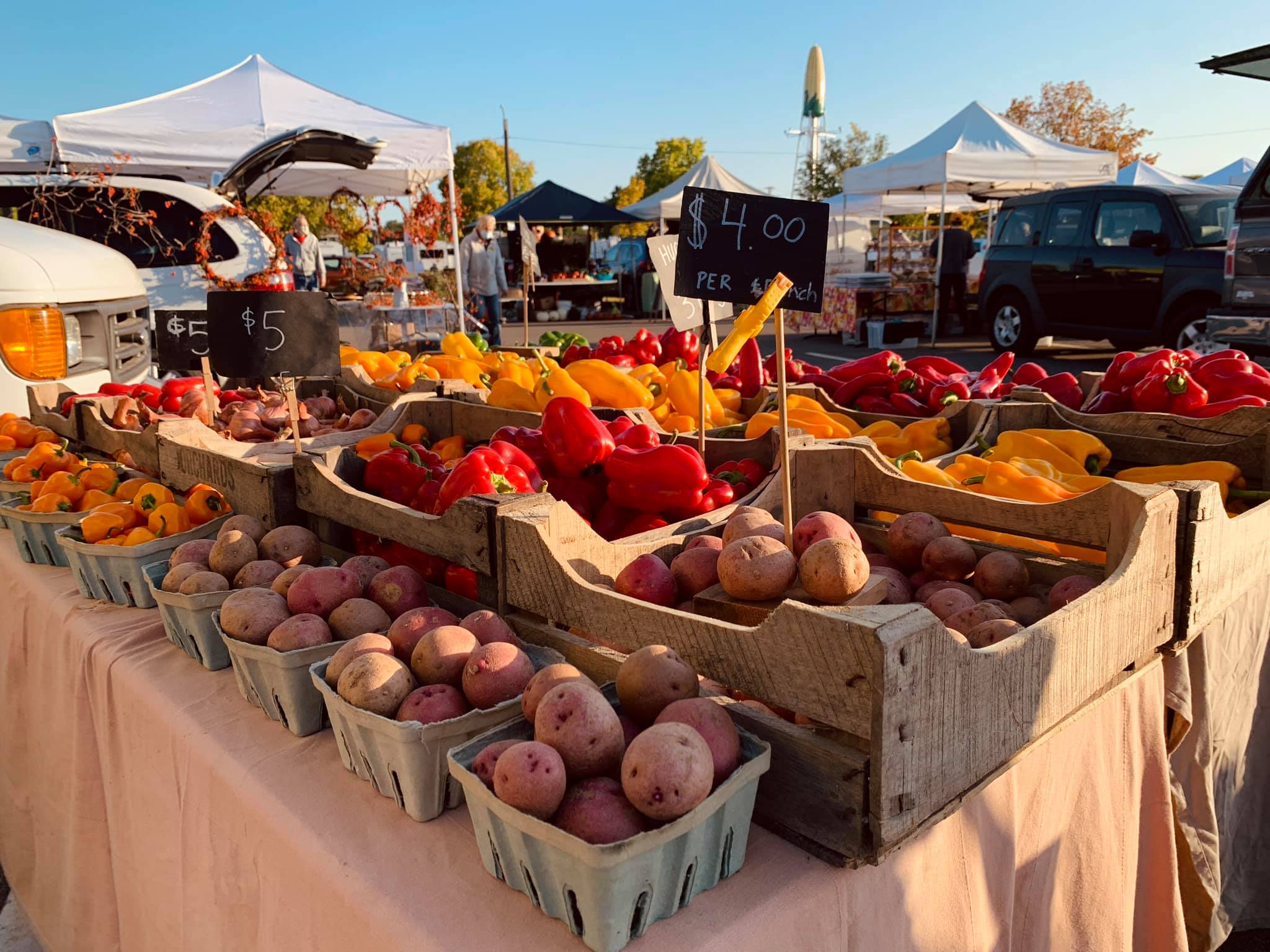 Discover the richness of local produce, proteins, and artisanal goods at the Rochester Farmers Market.