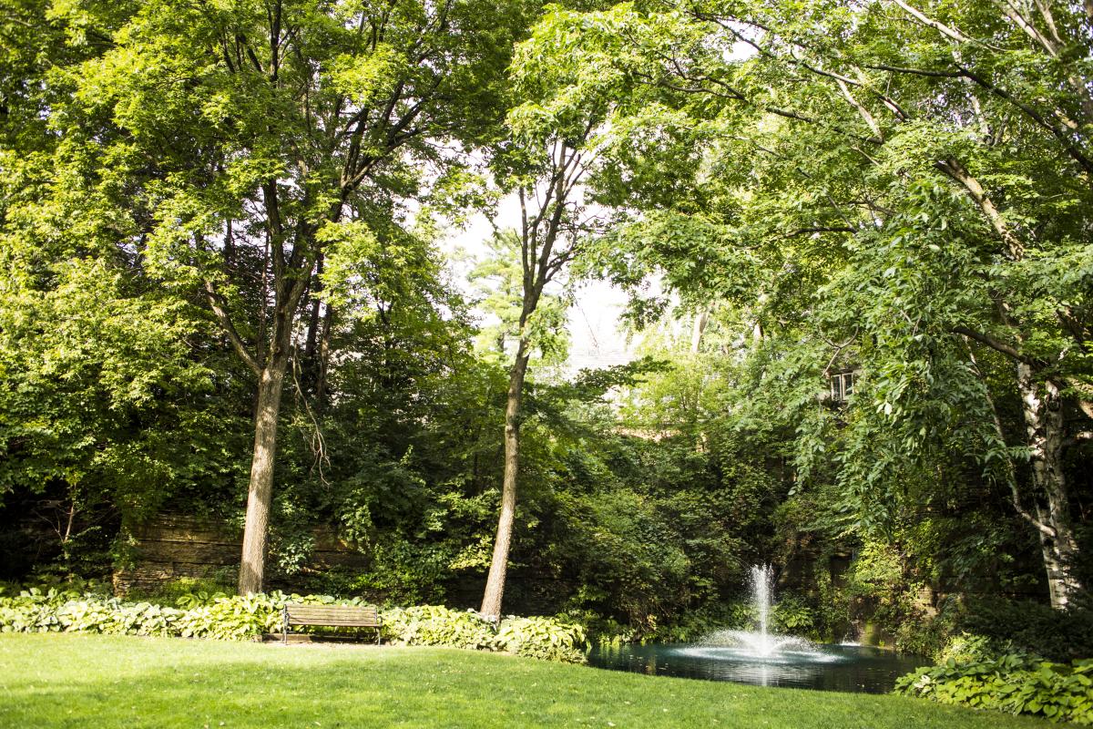 The enchanting Plummer House Garden Fountain, a cornerstone of Rochester's horticultural allure.