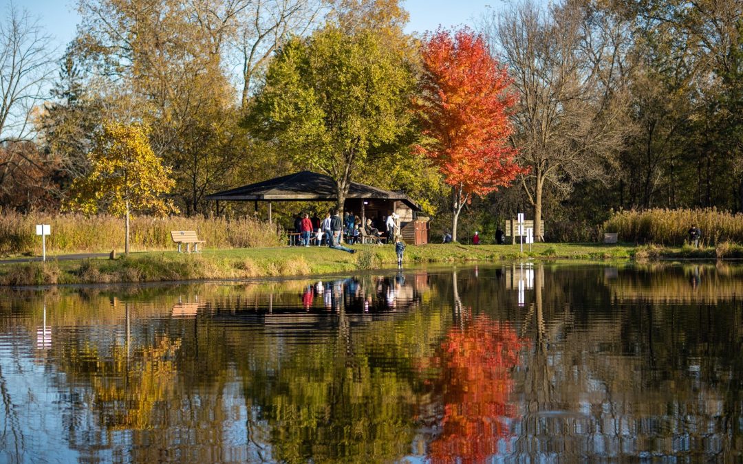 Autumn Delights: Exploring Quarry Hill Nature Center This Fall