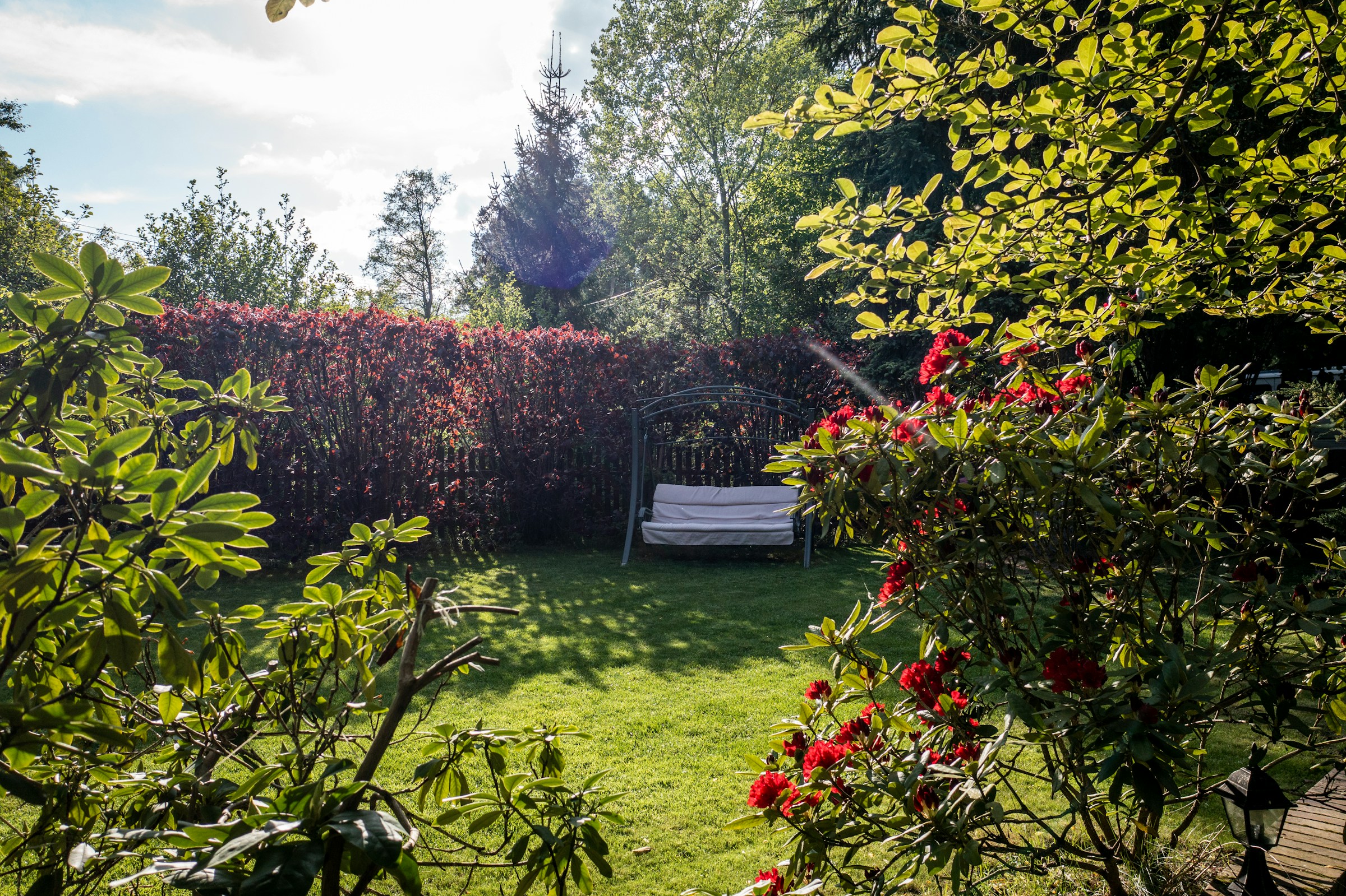 Get Ready for Spring: Rochester Gardening Tips