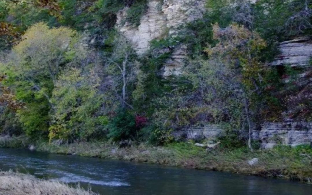 Uncover the Natural Beauty and Serenity of Root River Park